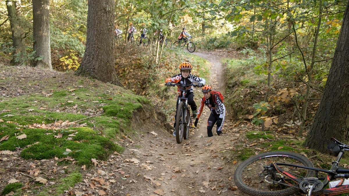 Mountainbiker op een smal bospad bij de Galgenberg in Liessel