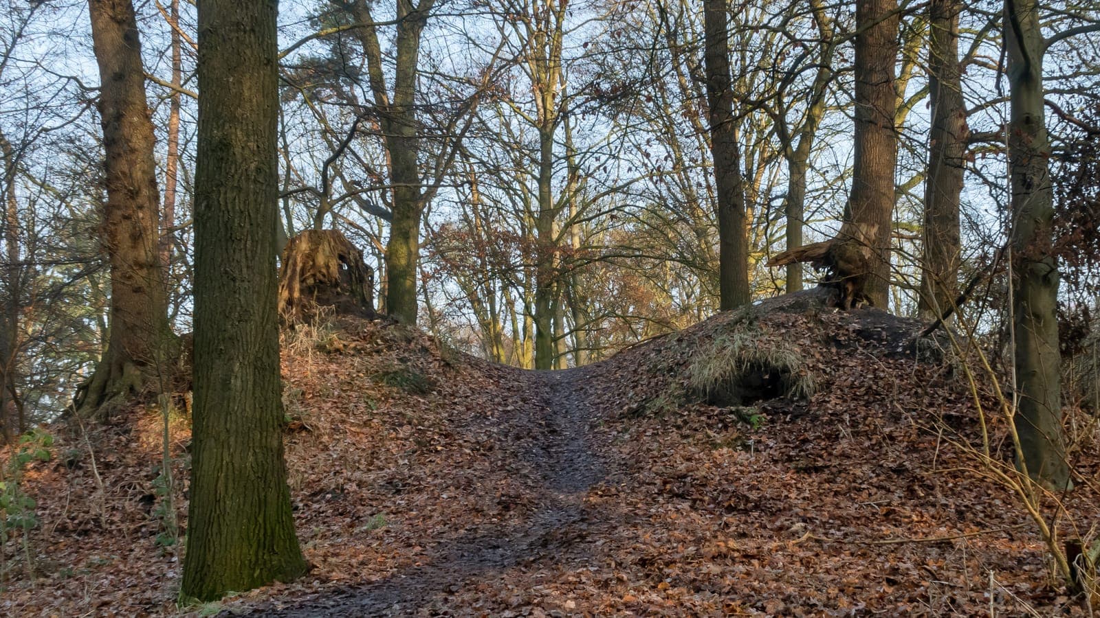 Aangelegd heuveltje voor mountainbikers in het bos van het Grote Veld bij Lochem