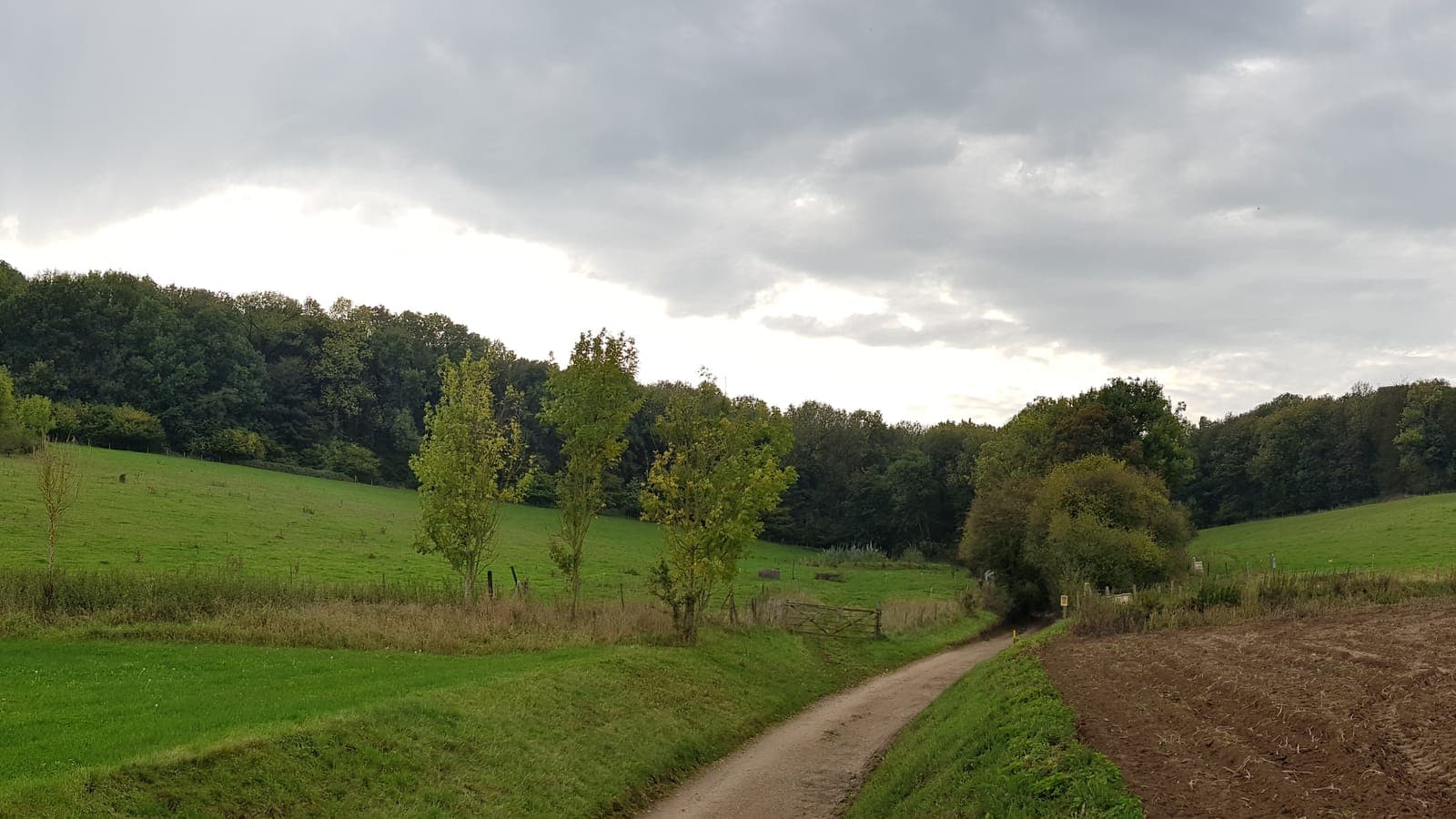 Onverharde veldweg langs akkers bij de Sint-Jansbosch