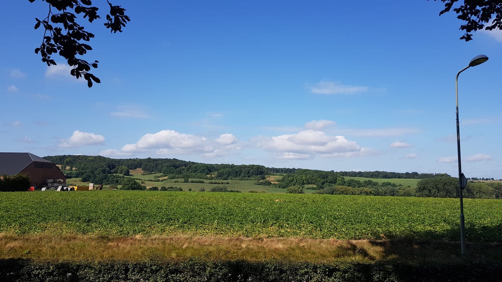 Glooiend akkerland met bossen bij Mechelen