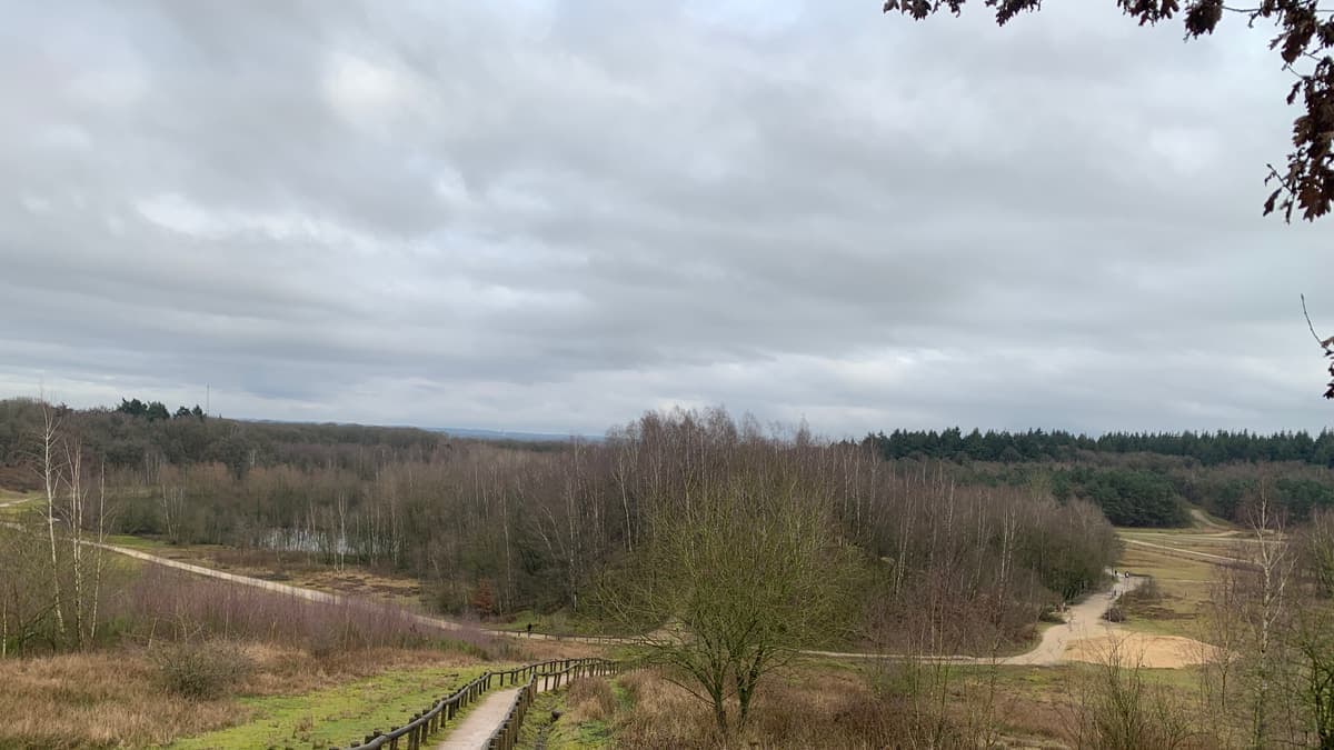 Zandpad met houten afrastering door open terrein in Kwintelooijen