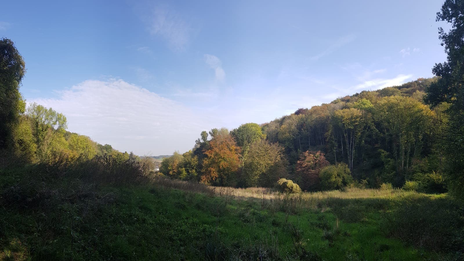 Heuveldal met herfstbos in het Biebosch bij Valkenburg