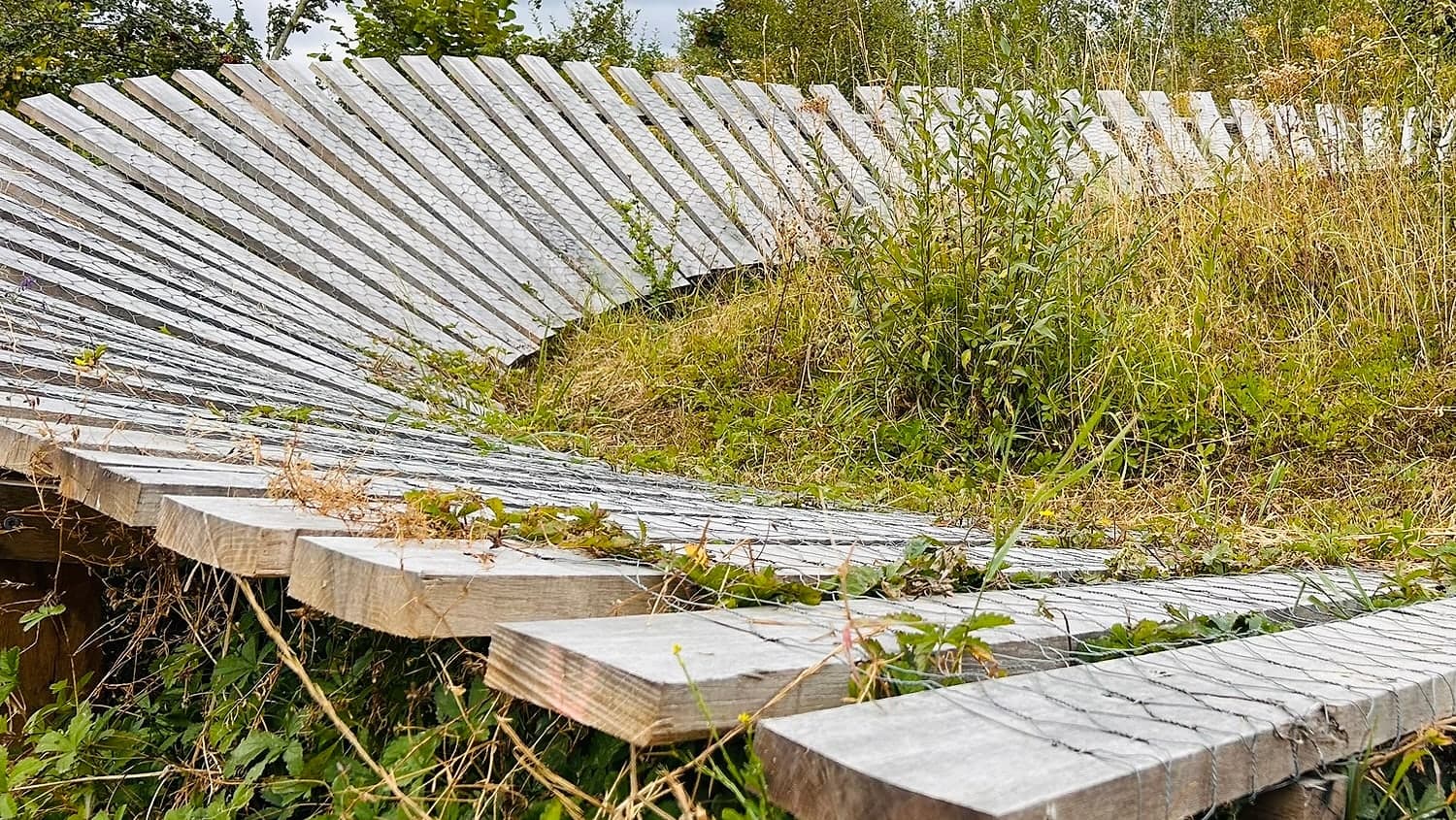 Houten wallride op de Vlagheideberg bij Eerde