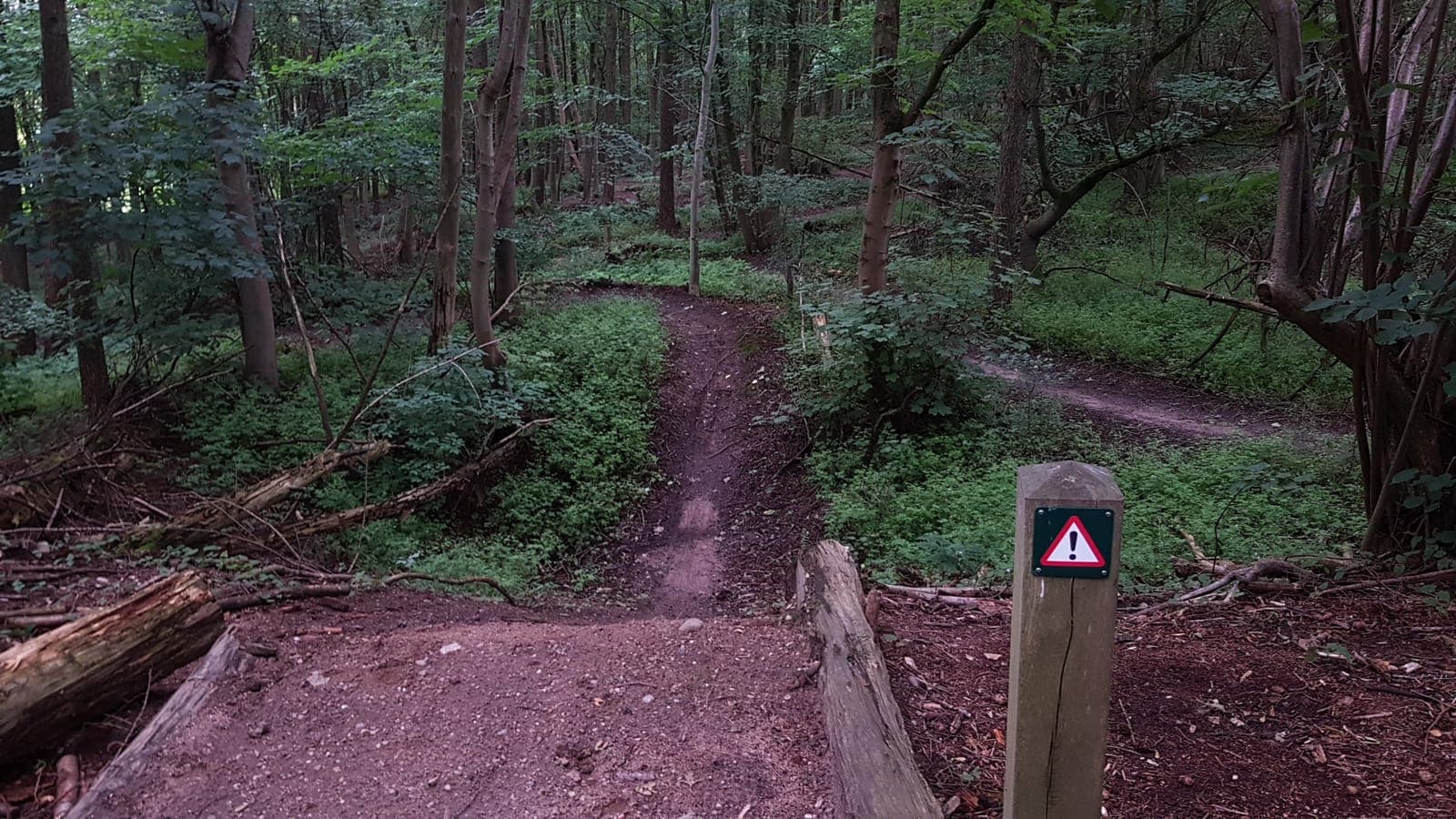 Smal mountainbikepad door een loofbos met een routepaaltje