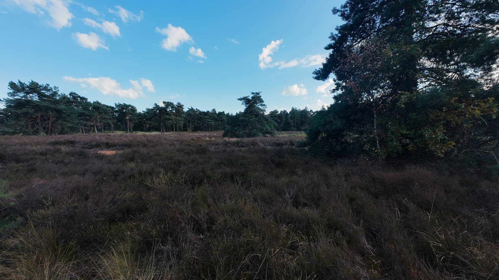 POV met voorwiel in beeld op een zanderige afdaling door de hei