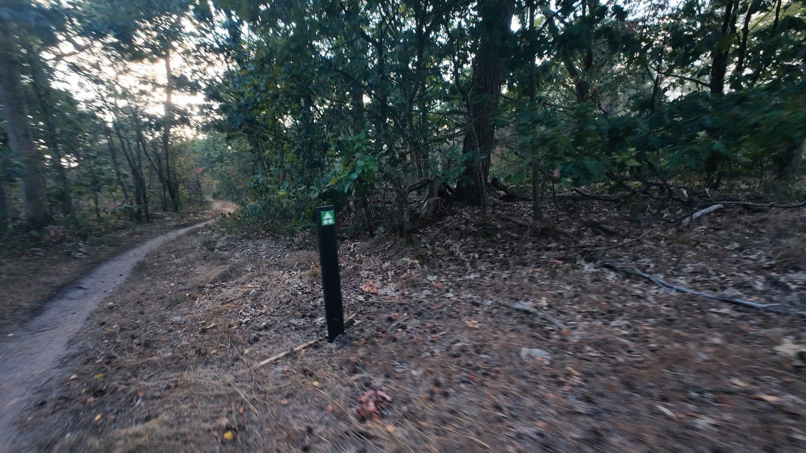 Groen-wit MTB-routepaaltje naast een bochtig zandpad in het bos