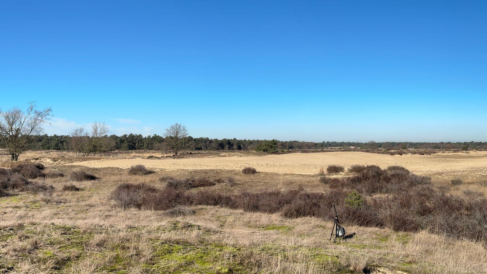Zandverstuiving met heide in de Loonse en Drunense Duinen