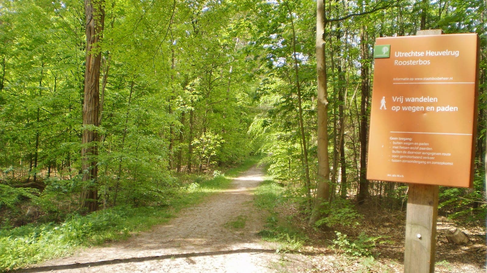 Grindpad met bosrand in het Roosterbos
