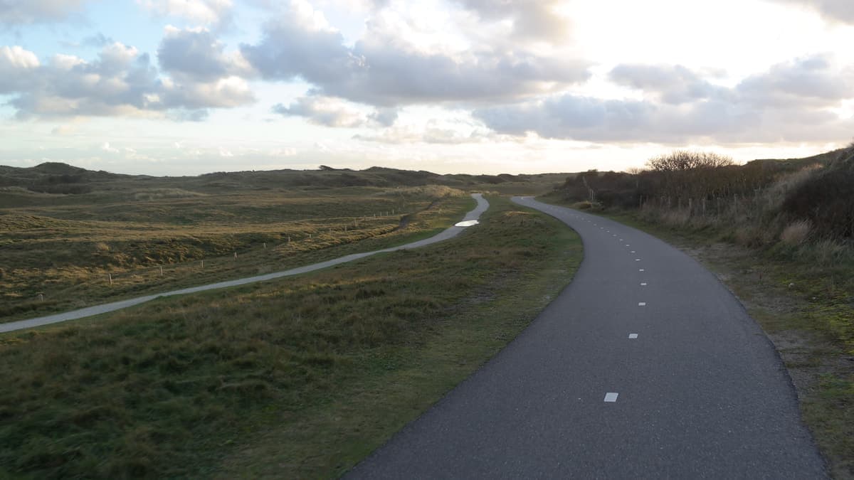 Pad door het duingebied Hollands Duin bij Katwijk aan Zee