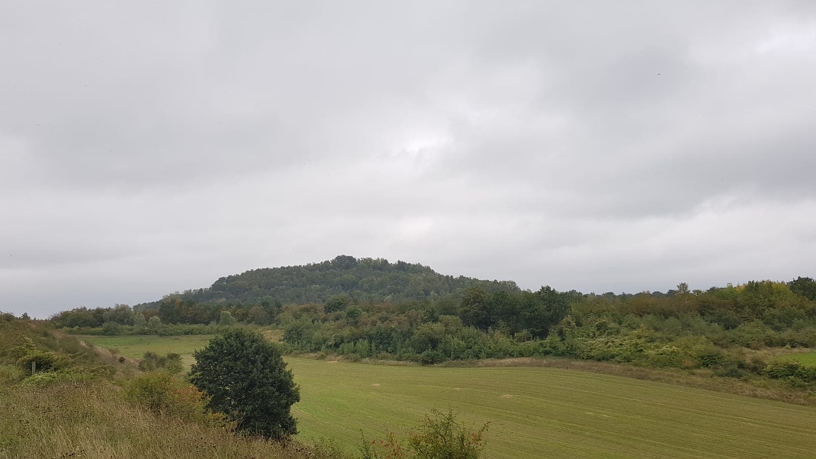 Heuvel met bos in het Poppelmondedal op de Sint-Pietersberg