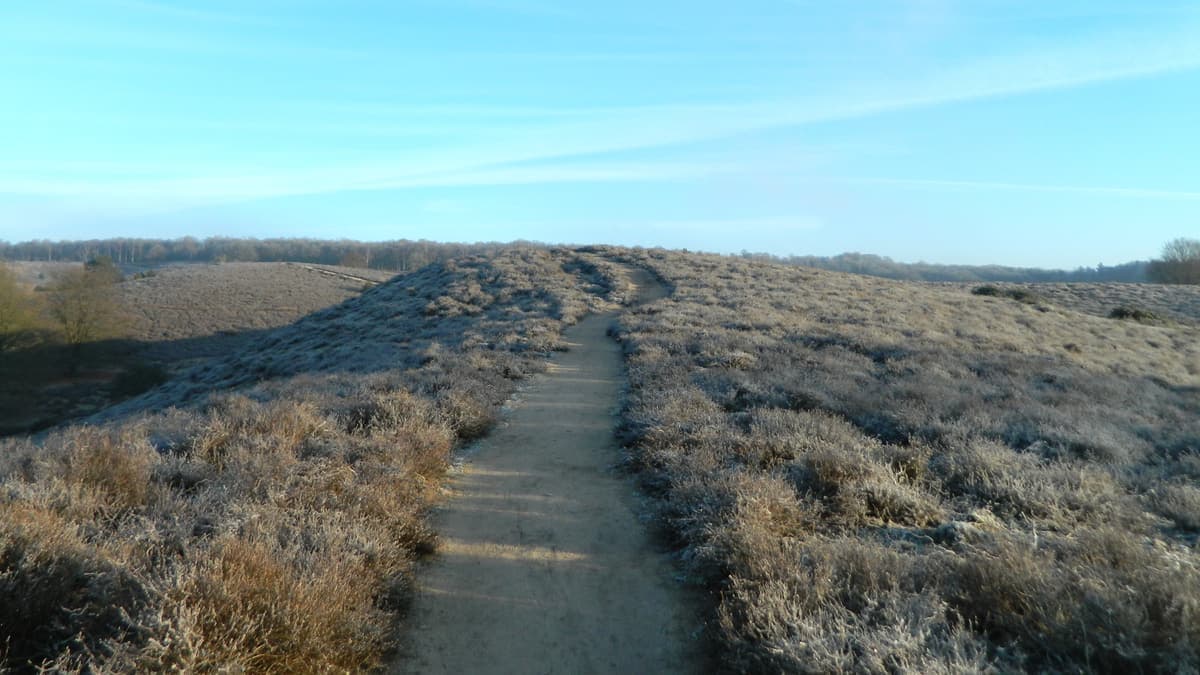 Bevroren pad over de heuvelrug van de Posbank in de winter