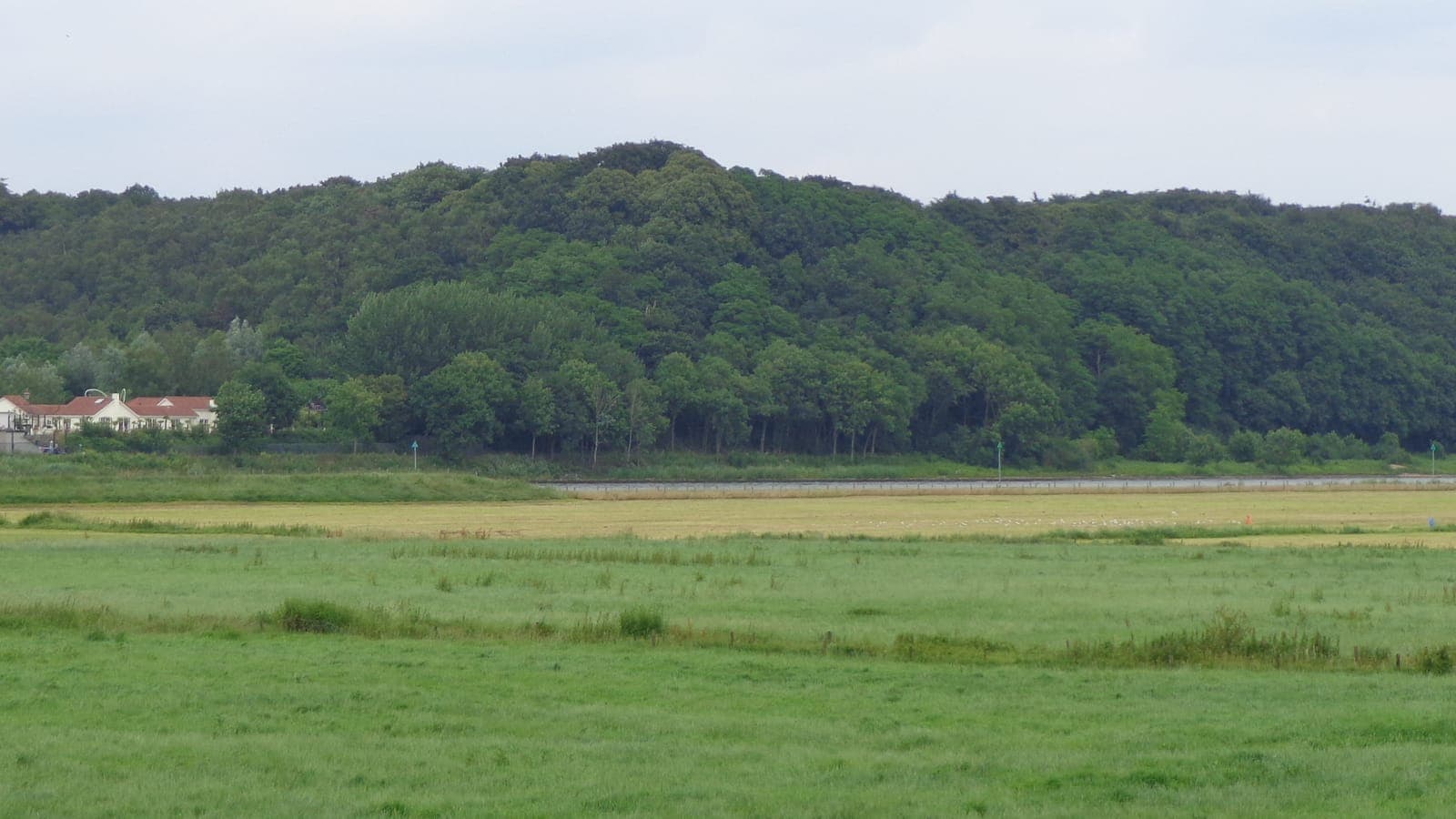 Beboste stuwwal van de Grebbeberg boven een weiland