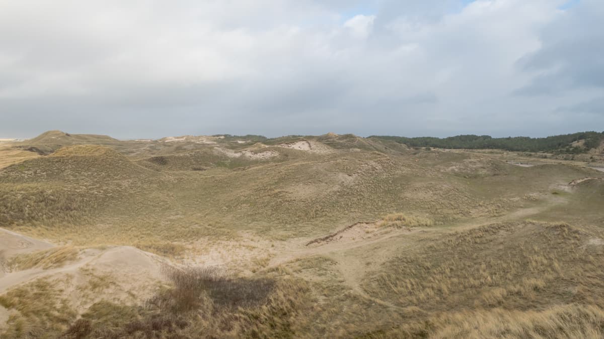 Uitgestrekt duinlandschap van de Schoorlse Duinen vanuit de lucht