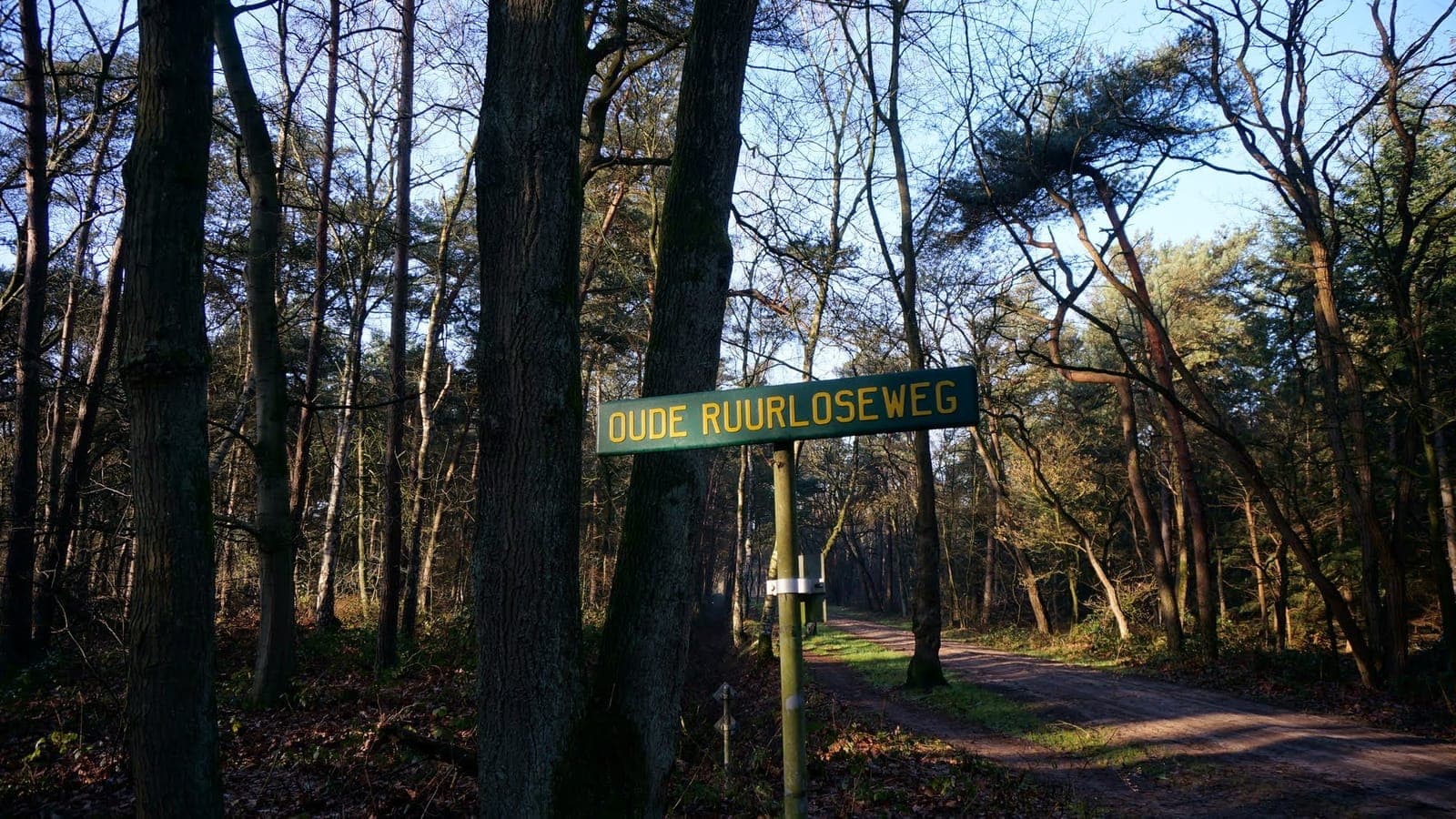 Bospad met wegwijzer tussen dennen bij Zelhem