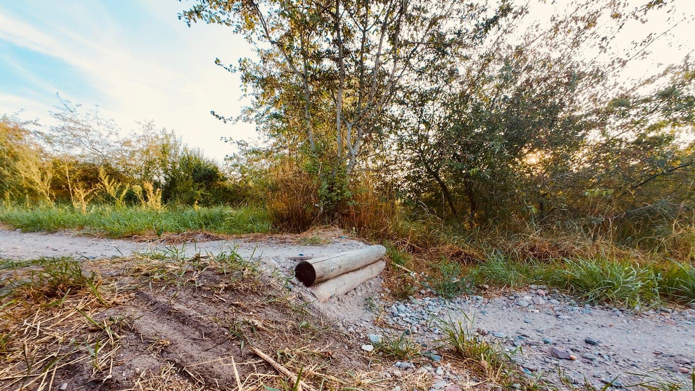 Boomstam als obstakel naast een zandpad