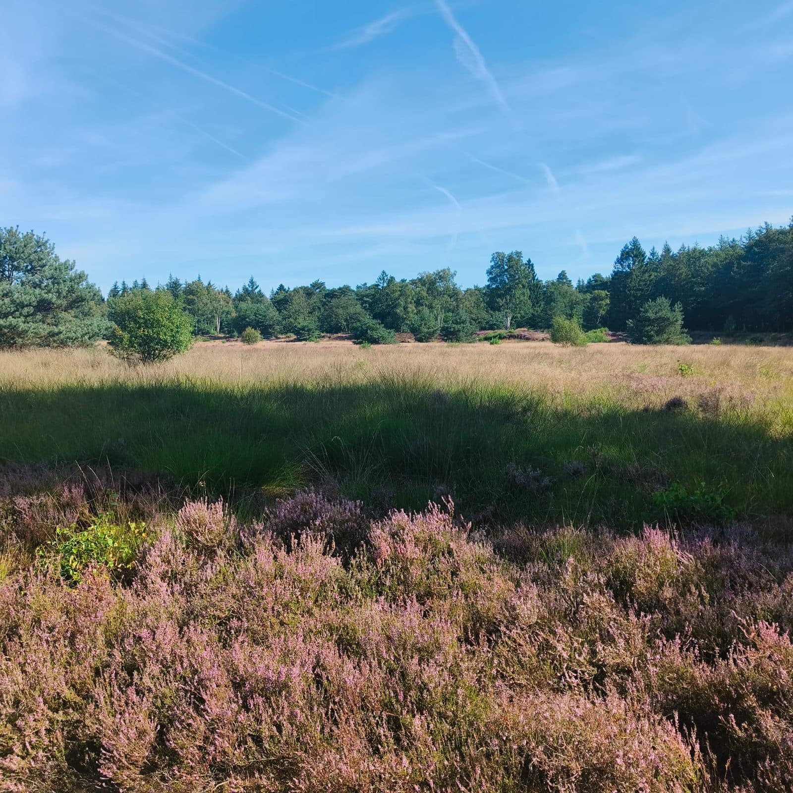 MTB Gieten Gasselte — foto door Carlo